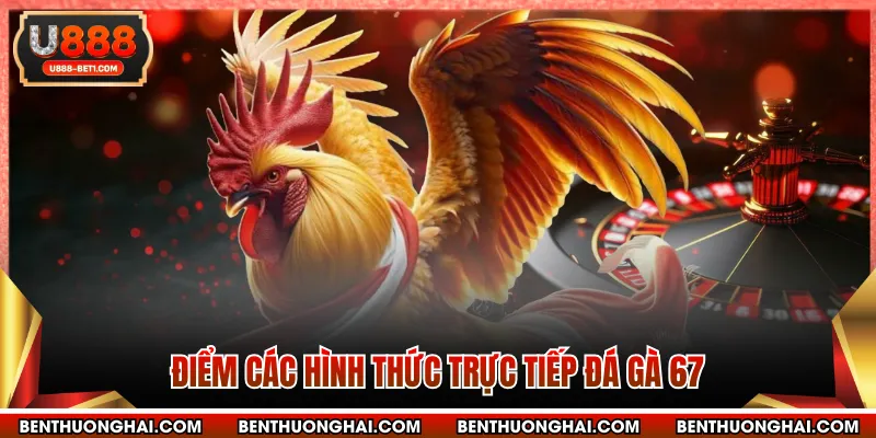 Điểm các hình thức trực tiếp đá gà 67