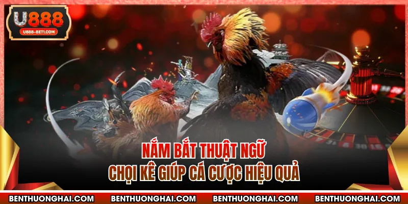Nắm bắt thuật ngữ chọi kê giúp cá cược hiệu quả